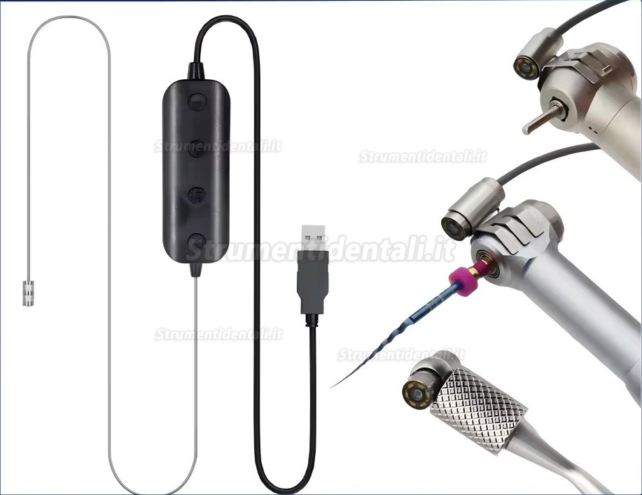 Microcamera intraorale digitale dentale visiva a LED con controllo a pedale